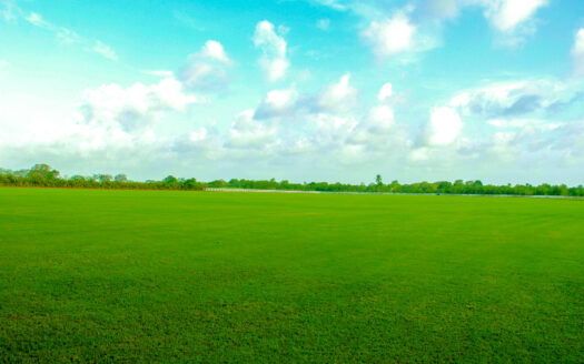 Land for Sale: Unique Opportunity to Build Your Dream