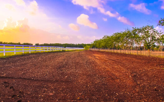 Land for Sale: Unique Opportunity to Build Your Dream
