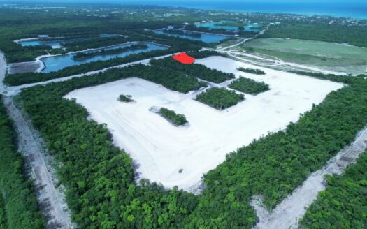 Investment Opportunities in Lagos de Punta Cana: Exclusive Lots Within Your Reach