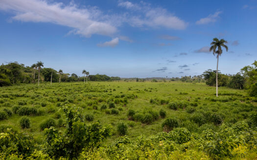 Plots in Nisibón with Ocean Views: The Perfect Canvas for Your Project