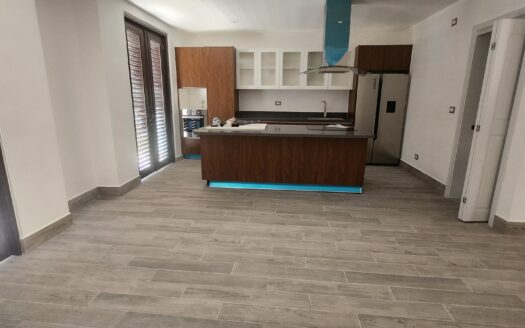 Luxury Penthouse for Rent – 2 Bedrooms with Private Picuzzi